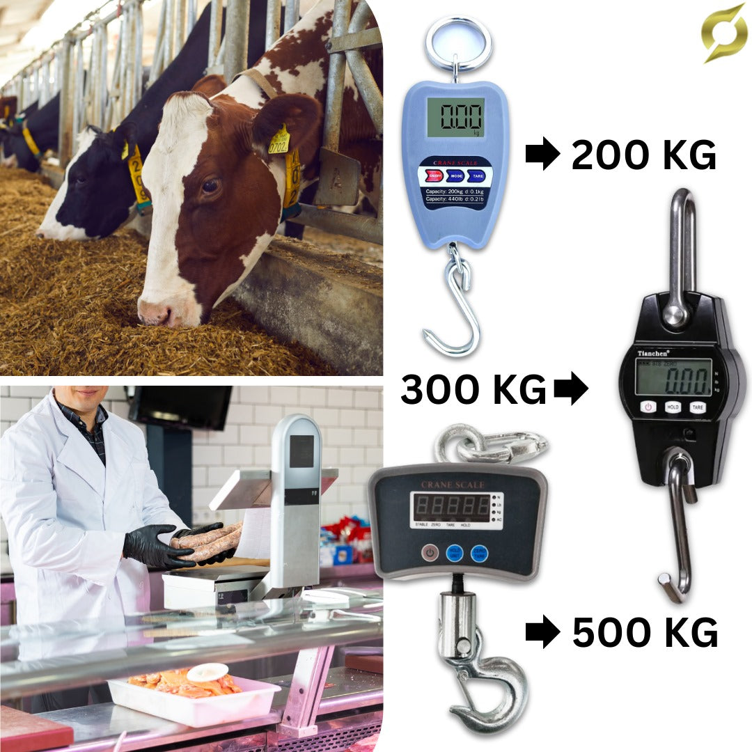 Scară digitală 500KG/300KG/200KG